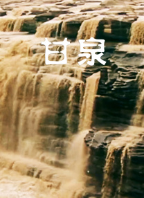 四虎视频在线精品免费网址